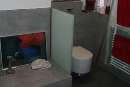 Schamwand